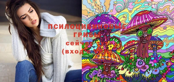 бошки Арсеньев