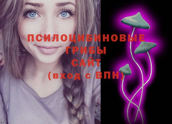 гидропоника Армянск