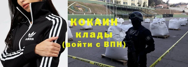 бошки Арсеньев