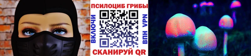 Галлюциногенные грибы GOLDEN TEACHER  продажа наркотиков  Сегежа 